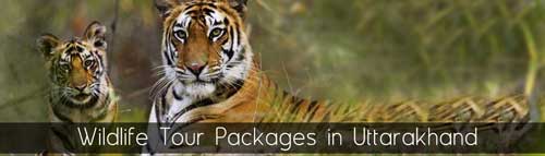 Wild life tour packages in Uttarakhand