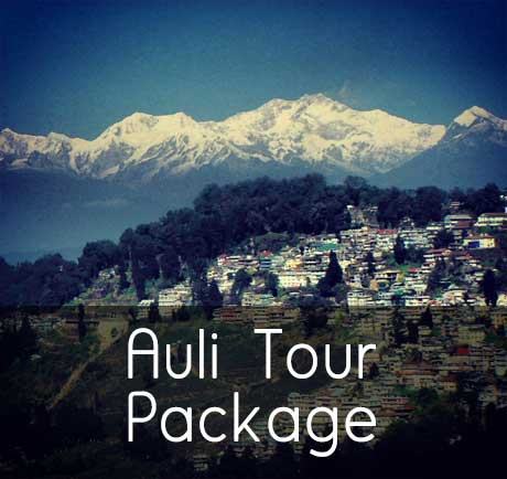 Badrinath Auli Tour Package in Uttarakhand